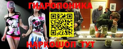 гашик Ливны